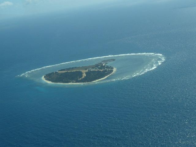 (10) Lady Elliot Island.JPG